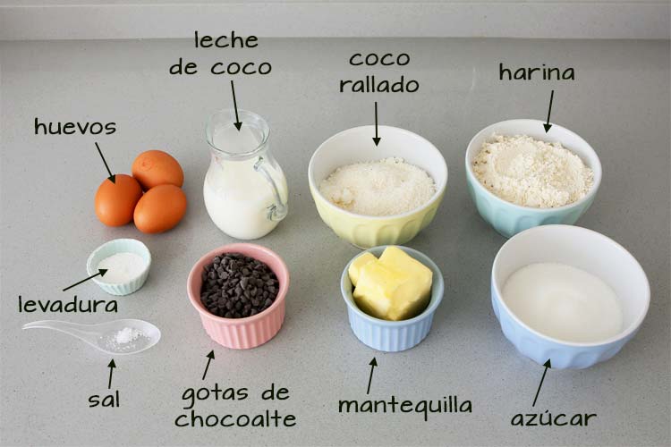 Ingredientes para hacer bizcocho de coco y chips de chocolate