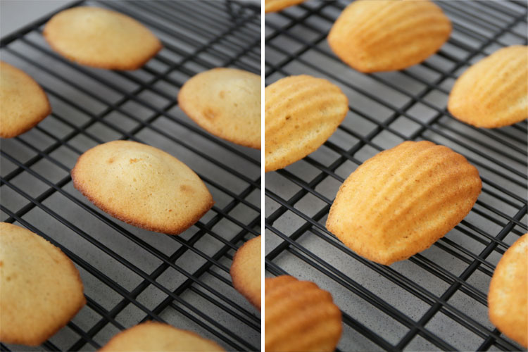 Madeleines, magdalenas con forma de concha sobre una rejilla