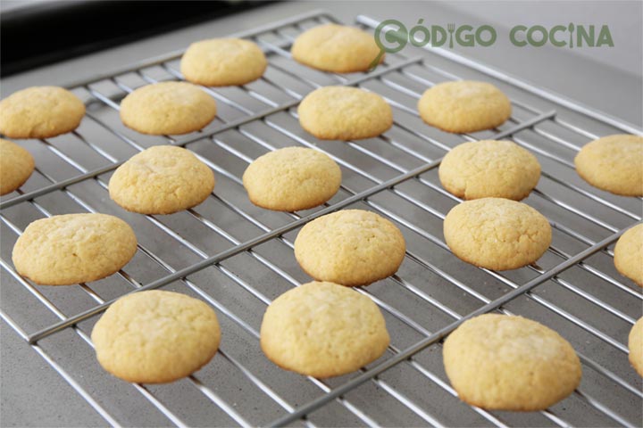 Galletitas de leche en polvo fáciles